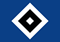 HSV